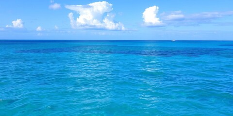 A majestic ocean with calm waves, vibrant blue colors, and a clear horizon, tropical, aqua