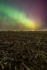 Wall Mural - Northern Lights Storm on May 11th 2024 from Iowa City, Iowa, USA with a farm field covered in corn stalks in the foreground. 5.11.24