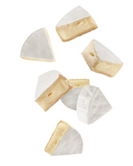Wall Mural - falling cheese camembert or brie, isolated on white background, full depth of field