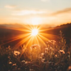 Wall Mural - a radiant golden sun, set against a soft-focus background, with rays radiating warmth and celebratio