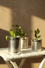 Poster - Recycling concept. Metal cans with plants on white wooden table