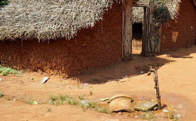 Wall Mural - waterhole in the locals village of kinyasini