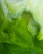 © ClareJoPhoto - Macro image of a Matcha Latte