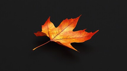 Poster - A single orange and red maple leaf isolated on a black background.