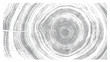 © CaptureAndCompose - Circular detail of tree rings pattern cut wood texture. Light gray and white ring pattern from a felled tree wood slab.