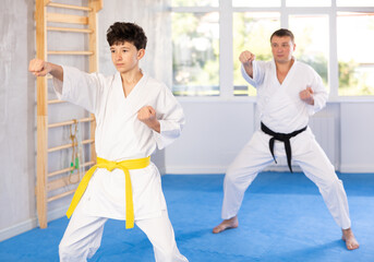 Wall Mural - Karate trainer teaching block and punches to a teenager in the gym