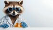 © NKCoolper - Whimsical of a Raccoon Wearing a Lab Coat and Goggles Holding a Beaker and Conducting a Scientific Experiment on a Simple White Backdrop in Vibrant Watercolor Painting Style