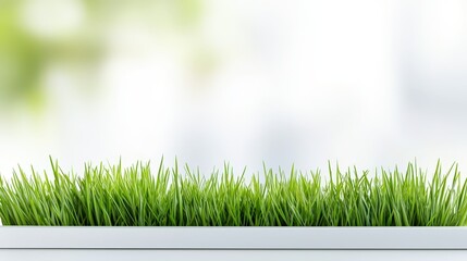 Poster - A close-up of fresh green grass blades with a blurred background, perfect for crafting soothing visuals in wellness materials, outdoor branding, or any design that seeks tranquility.