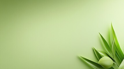 Poster - A delicate light green background exuding a clean and minimalistic aesthetic, perfect for creating refreshing designs that evoke tranquility and nature.