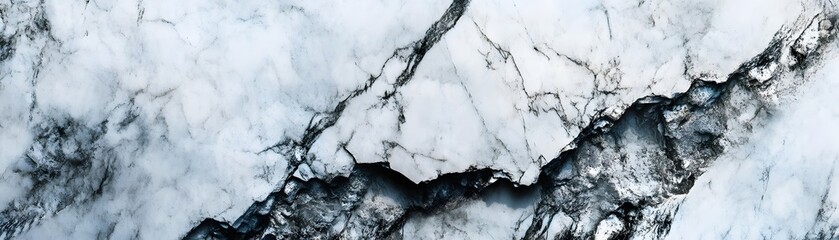 Wall Mural - Close-up Abstract View of White and Grey Marble