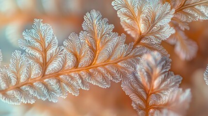 Poster - Explore the intricate beauty of nature through a detailed macro shot of a repetitive plant pattern