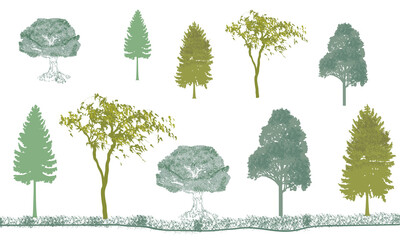 Minimal style cad tree line drawing, realistic trees in golden, green color, nature silhouette icons collection. Different trees elements symbol for architecture and landscape design. Illustration.