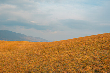 Wall Mural - landscape with field