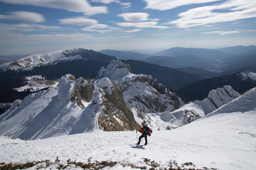 Sticker - A lone hiker gazing at a majestic, snow-covered mountain peak