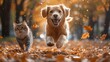 © Soulin7 - A joyful family photo taken during a walk in the autumn leaves, with the dog jumping and the cat chasing a leaf.