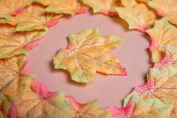 

Autumn themed leaves.A beautiful autumn themed arrangement on a brown background. A set of artificial fall leaves.