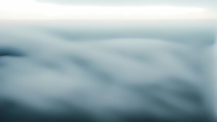 Wall Mural - a light foggy scene with nature and fog in the background