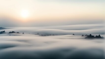 Wall Mural - a light foggy scene with nature and fog in the background