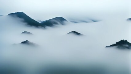 Wall Mural - a light foggy scene with nature and fog in the background