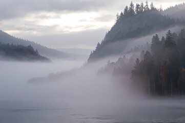 Wall Mural - a sunlight foggy scene with nature in the background