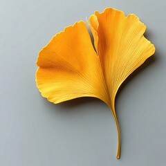 Vibrant yellow ginkgo leaf with intricate veins，perfect for autumn themes, natural patterns, and botanical illustrations.