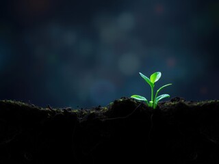 vibrant plant with glowing roots in mystical display of life and energy beneath soil, plant, vibrant
