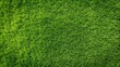 © Nasnunt - Aerial view of lush natural grass texture, green, nature, background, landscape, top view, aerial, fresh, spring, summer
