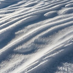 Wall Mural - Pristine Fresh Snow Texture with Wavy Wind Blown Patterns, Winter Aesthetic