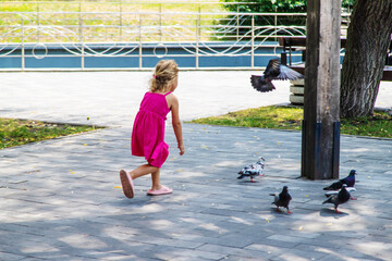 Poster - A child chases pigeons in a park. Selective focus.