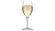 © Mosaic Mind - Champagne in a Glass: A Sparkling Celebration