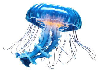 Canvas Print - PNG Jelly fish glowing jellyfish animal invertebrate.