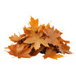 © supansa - Pile of autumn leaves, single object isolated on solid white background, , transparent background