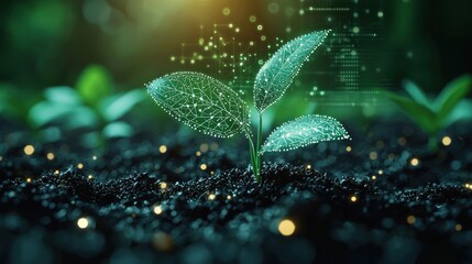 Leinwandbilder - A glowing digital network overlaid on a green sprout emerging from dark soil.