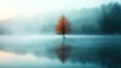© JoxyAimages - A solitary tree stands in the middle of a fog-blanketed lake at dawn, capturing a mysterious and tranquil mood with its reflection in the water.