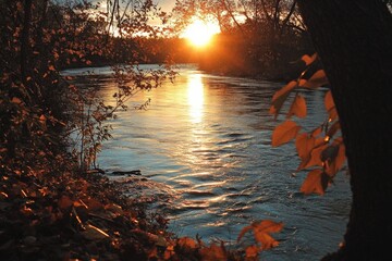 Poster - Capturing the golden autumn sunlight streaming over a gentle river, this serene scene is framed by trees with orange leaves, highlighting the warm atmosphere.