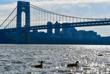 View of the river and the metal George Washington Bridge, New York USA