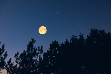 Wall Mural - full moon, stars, planets, meteor trail and landscape scenery silhouettes.