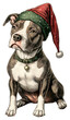 © Rawpixel.com - PNG A pitbull dog wearing elf hat illustration christmas pet.