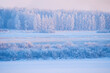 © syntheticmessiah - Winter landscape on northern Swedish nature, forest trees covered with frost and snow, birds eye view of winter forest near the river