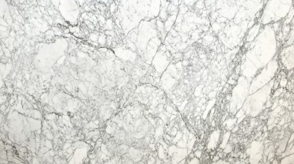 Wall Mural - High angle of polished marble texture with elegant white and gray veining, reflecting light beautifully