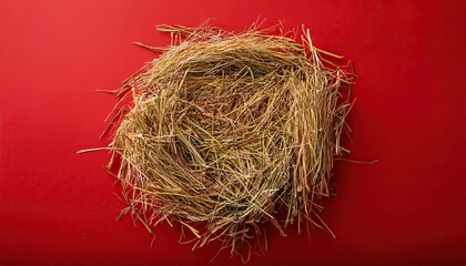 Wall Mural - Bird nest on a red background