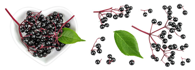 Wall Mural - Ripe black elderberry or elder with green leaves in ceramic bowl isolated on a white background. Sambucus