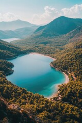 Wall Mural - Lake with Trees