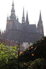 Wall Mural - st vitus, san vito, cathedral, praga, prague, praha, czech republic