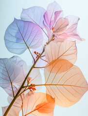 Poster - An ethereal portrayal of pastel-hued translucent leaves expertly captured with soft lighting, evoking a sense of tranquility and natural elegance.