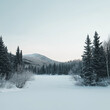 © Fatih - green trees, mountain and snow landscape