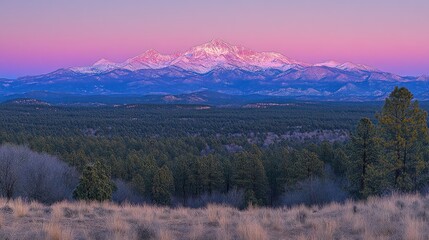 A majestic snow-capped mountain peak dominates the horizon at sunrise, casting a warm glow over a vast expanse of forest.