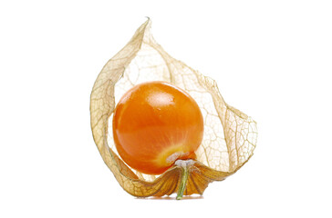 Canvas Print - Physalis, groundcherrie and husk isolated on white, side view	