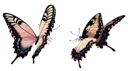 Poster - Pink Butterfly Illustrations on Transparent Background Generative AI