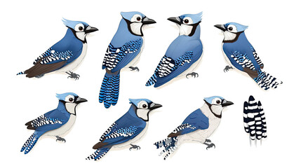 Poster - Realistic Illustrations of Blue Jays on a Transparent Background Generative AI